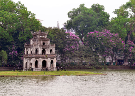 Xung quanh hồ Hoàn Kiếm, những cây bằng lăng đã nở rộ khiến mây trời, mặt nước ánh lên sắc tím mộng mơ.