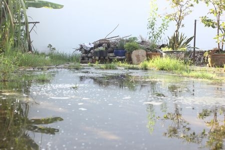 Cần làm sạch môi trường sinh sống, dọn dẹp quang quẻ, khơi thông nước đọng xung quanh nhà để hạn chế muỗi sống, sinh sản, gây bệnh sốt xuất huyết. Trong ảnh: Một vũng nước đọng nhiều ngày- địa điểm lý tưởng cho muỗi sinh sản.