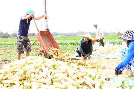 Cử tri kiến nghị cần có giải pháp ổn định giá cả đầu vào cho sản xuất và bảo đảm đầu ra cho các sản phẩm nông nghiệp.