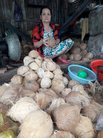 Giá dừa khô tăng cao nhưng sản lượng có phần sụt giảm