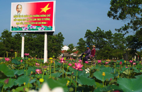 Dân làng ra hồ từ sớm để hái sen.