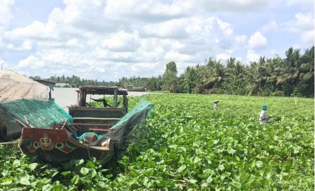 Thú vui câu cá của nhiều người trên sông Rạch Bàng.