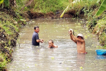 Dọn cỏ “mương phố” bắt cá lóc vườn.