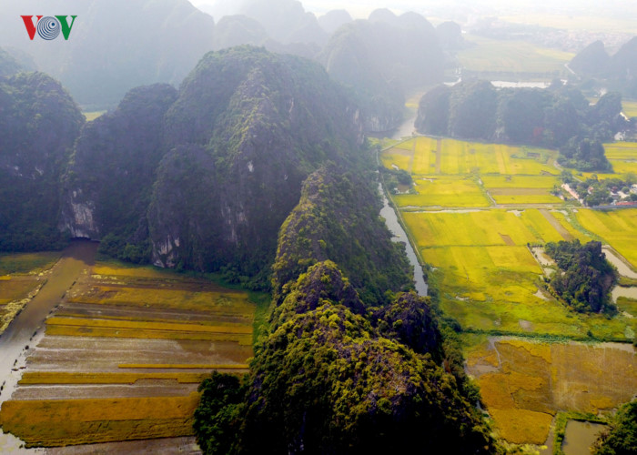 Mùa lúa chín cũng là thời điểm đông du khách tìm đến chiêm ngưỡng những thảm vàng rực trong nắng hè.