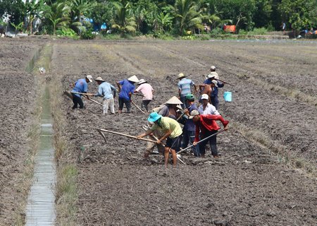 Sản xuất tiêu thụ nông sản vẫn còn nhiều khó khăn. 