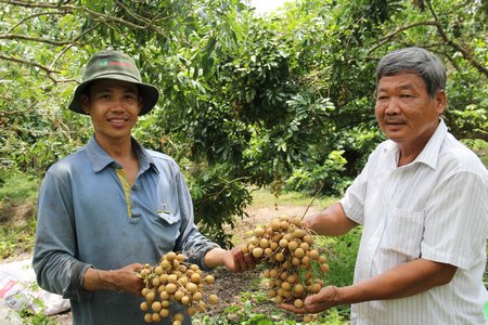 Các HTX nông nghiệp đã có sự phát triển tốt theo hướng đa dạng hóa sản phẩm, quan tâm xây dựng nhãn hiệu, thương hiệu hàng hóa 