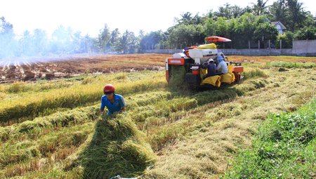 Cần có giải pháp để tạo sự chuyển biến rõ nét về tổ chức lại sản xuất, gắn sản xuất với chế biến và tiêu thụ sản phẩm.