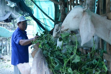 Nhiều người đã từng khởi nghiệp cho rằng từ ý tưởng đến thực tế lắm gian nan.