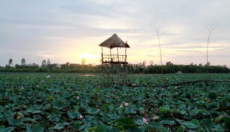 Những cung đường rực rỡ sắc hoa cũng là điểm đến không thể bỏ lỡ tại Đồng Tháp.