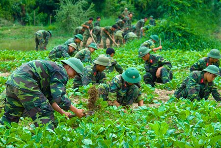 Chiến sĩ tăng gia sản xuất.  Ảnh minh họa: VINH HIỂN