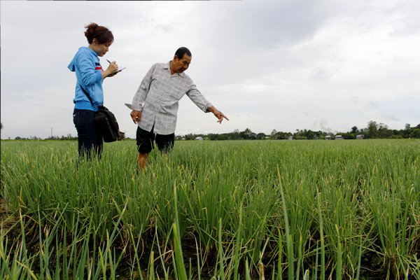 Cùng ra đồng với người nông dân bất kể nắng mưa…