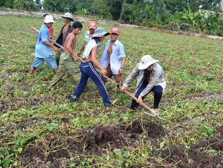 Ông Roger Van Hoesel cho biết rất ấn tượng nông sản Vĩnh Long nhưng nông sản còn sản xuất thủ công.