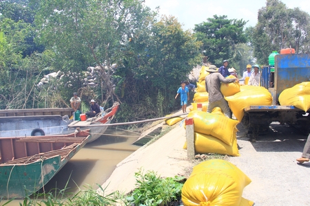 Hiện Tam Bình đã xây dựng mô hình cánh đồng mẫu lớn vụ Hè Thu với diện tích 6.837ha, có 10.503 hộ tham gia.