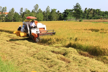 Sản xuất nông nghiệp vẫn còn gặp nhiều khó khăn, giá trị sản xuất nông- lâm- thủy- sản giảm 0,57% so cùng kỳ. 