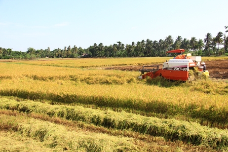 Đây là năm thứ 2 liên tiếp ngành nông nghiệp có tăng trưởng âm trong 6 tháng đầu năm.