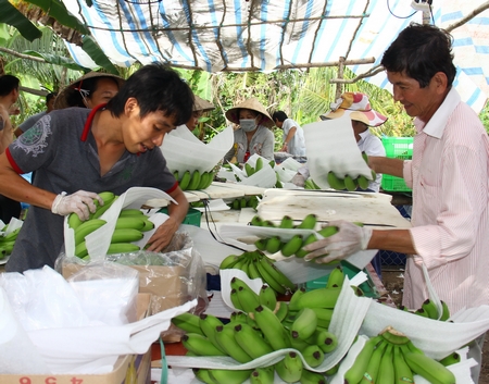 UBND tỉnh sẽ tiếp tục hỗ trợ tháo gỡ khó khăn, vướng mắc cho doanh nghiệp, nhất là trong lĩnh vực chế biến, xuất khẩu hàng nông sản, thủy sản.