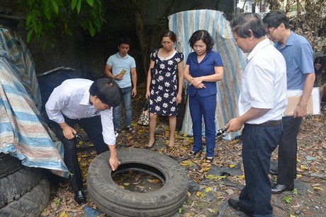 Người dân cần chủ động diệt bọ gậy phòng chống dịch lây lan. Ảnh: minh họa/Nguyễn Vân.