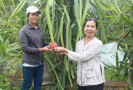 Thời chiến, bà Nguyễn Thị Bảy (phải) bất kể đêm ngày nấu cơm nuôi cán bộ, bộ đội, thời bình bà hiến đất, góp tiền xây NTM.