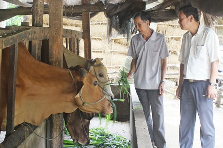 Nhờ tham gia các lớp dạy nghề, ông Nguyễn Văn Tựu (trái) có thêm kinh nghiệm làm ăn, góp phần xây NTM đạt tiêu chí thu nhập.