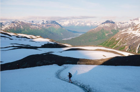 Vườn quốc gia Kenai Fjords (Alaska): Nếu bạn đang định lên kế hoạch đi ngắm sư tử biển Steeler hay những chú chim hải âu thì nơi đây là lựa chọn không thể bỏ lỡ.