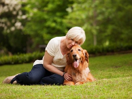 Ảnh minh họa. (Nguồn: The Dog Photographer)