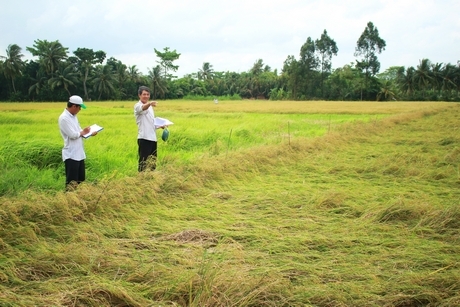 Các địa phương đang tiến hành khảo sát, thống kê thiệt hại.