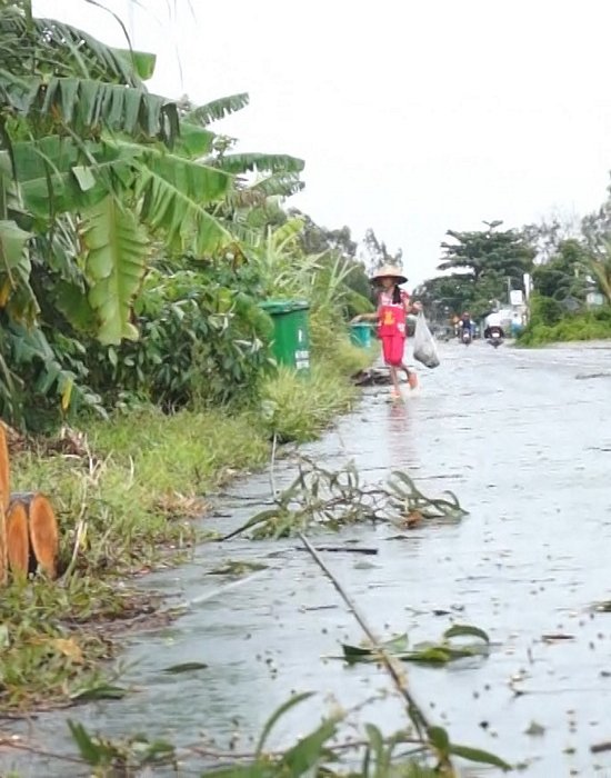  Cây ngã trúng đường dây điện trung thế khiến dây rơi xuống đường.