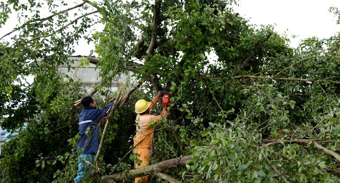 Nhân viên viễn thông và điện lực sớm có mặt để khắc phục.