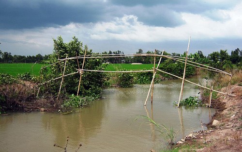 Cầu tre duyên dáng tình quê