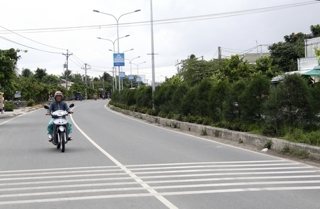 Hàng dương dày đặc khiến phương tiện lưu thông 2 bên dải phân cách không quan sát được nhau.