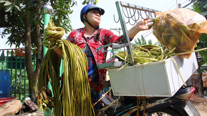 Bông súng đầu mùa lũ cũng xuất hiện nhiều. Chị Trần Thị Nhung (ấp Phú Nghĩa, xã Phú Hội, huyện An Phú, An Giang) mua lại từ người nhổ được rồi bán lại với giá 3.000 đồng/khoanh. Trước khi có lũ về, chị Nhung bán thực phẩm tươi sống; mùa lũ bắt đầu về, chị kinh doanh thêm bông súng - Ảnh: CHÍ QUỐC