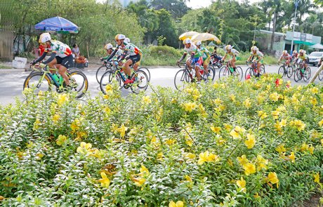 Nhiều bông hoa đẹp khoe sắc cùng với người hâm mộ sẽ cổ vũ cho các tay đua tranh tài.