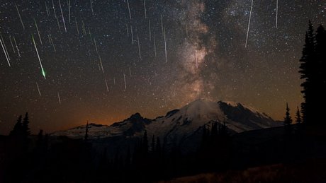 Hình ảnh mưa sao băng Perseids nhìn từ Vườn quốc gia Rainier, Washington, Mỹ - Ảnh: National Park Foundation