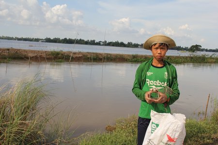 Cậu bé Nhựt Hào đặt bẫy chuột trên đê dọc kinh Tứ Thường.