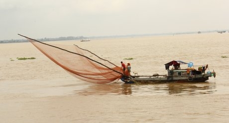  Trung tâm dự báo KTTV Trung ương nhận định mùa lũ năm 2017 ở ĐBSCL đến sớm và lớn hơn trung bình nhiều năm