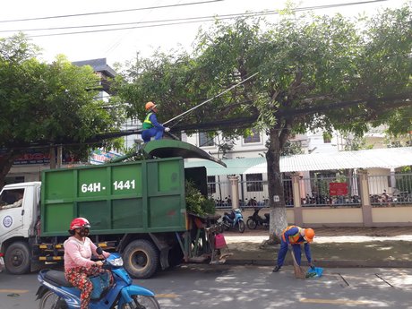 Khẩn trương tỉa cành, loại bỏ các nhánh cây khô, có khả năng gãy đổ… trước mùa mưa bão.