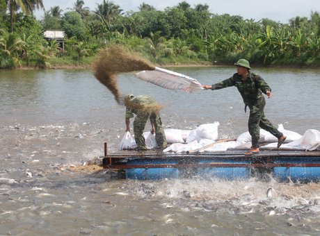 Tăng gia sản xuất tạo thêm nguồn thu cho đơn vị và cải thiện bữa ăn cho bộ đội.