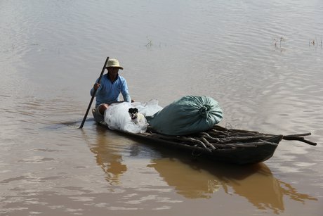 Người dân Hồng Ngự ra đồng đặt dớn cá.