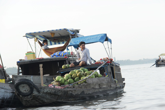 Thuyền bán dừa tươi