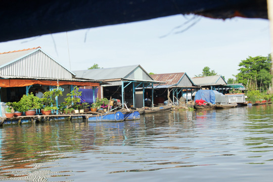 Dọc đường đi cù lao Ông Hổ, có nhiều dãy nhà nổi như một khu cư xá trên sông