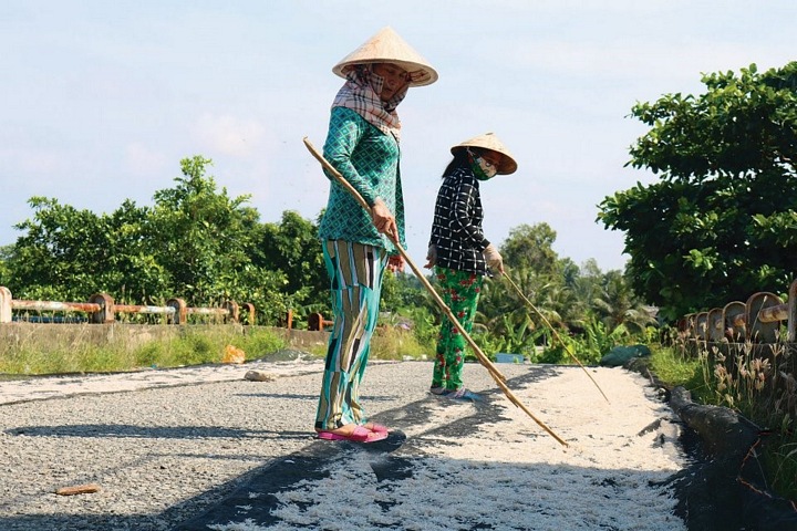 Công việc phơi ruốc tuy vất vả nhưng ai cũng phấn khởi.