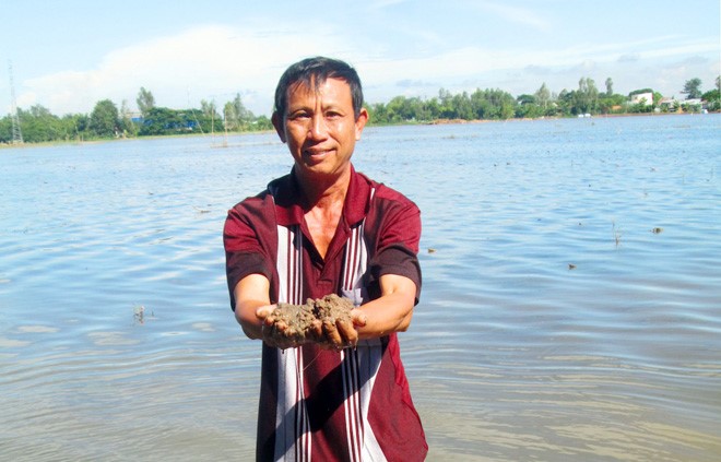 Nông dân thượng nguồn biên giới tỉnh An Giang phấn khởi vì phù sa bồi đắp ruộng đồng.