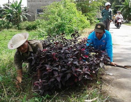 Hiện, các địa phương đang tập trung tôn tạo cảnh quan nhằm xây dựng đạt tiêu chí môi trường. 