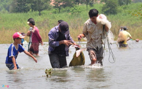 Hai người dân dùng chài đánh được 2 con cá tra và cùng đưa lên bờ bán cho khách hàng.