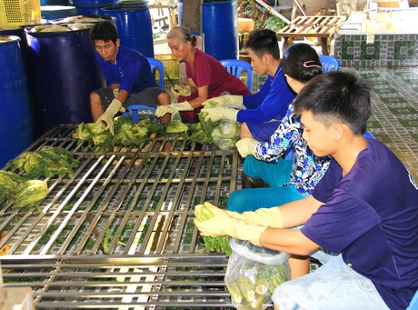 Tỉnh phát huy phong trào khởi nghiệp và đổi mới sáng tạo, nâng cao hiệu quả hoạt động của các DN vừa và nhỏ.