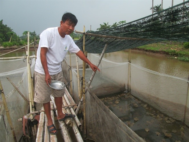 Nhờ đó, họ có của ăn của để, giàu một cách nhanh chóng.