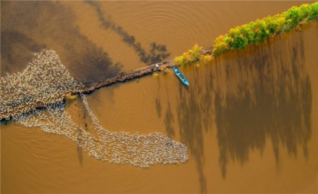 Màu phù sa của Nguyễn Hoàng Nam