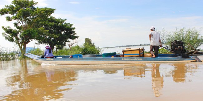  Người dân chạy vỏ lãi để thu mua các loại sản vật mùa nước như rắn, ốc, cua, rắn mối…