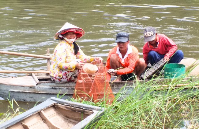 Cá linh- món đặc sản mùa nước nổi khiến nhiều người không khỏi say lòng.