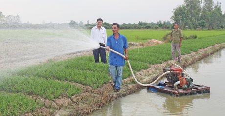 Tổ hợp tác sản xuất rau an toàn của Hội CCB xã Phước Hậu là một trong những công trình thiết thực chào mừng Đại hội CCB các cấp.